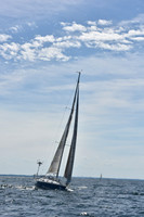2019 Marblehead to Halifax A_1739