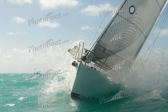 Upwind Splash - Large Color