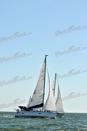 2013 Southern Bay Race Week D 105
