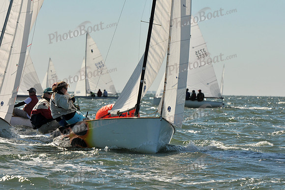 2012 Thistle Midwinters A 019