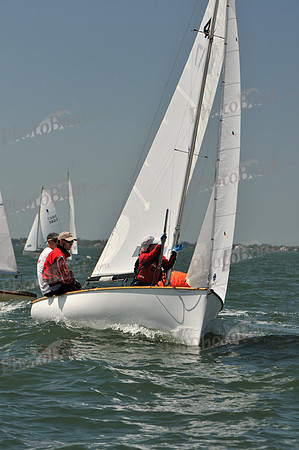 2012 Thistle Midwinters C 582