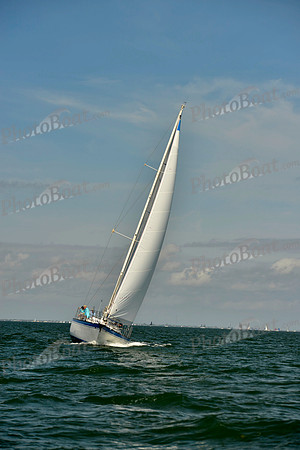 2019 St Pete NOOD C_0163