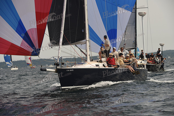 2016 Chester Race Week C_1456
