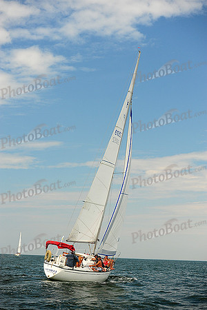 2014 Cape Charles Cup B 482