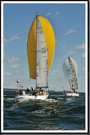proof_2010_Vineyard_Race_0482