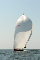 2012 Vineyard Race A 1138