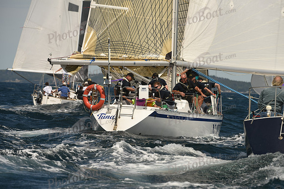 2016 Chester Race Week A_1467