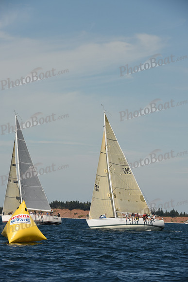 2016 Chester Race Week A_0001
