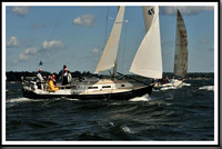 proof_2010_Vineyard_Race_0088