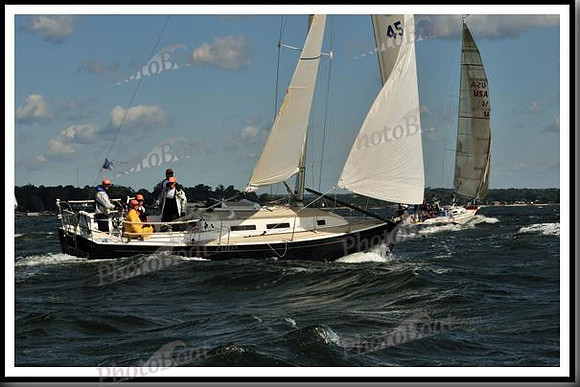 proof_2010_Vineyard_Race_0088