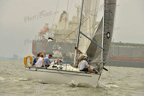 2016 Southern Bay Race Week A_1006