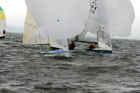 2011 505 NAs B 393