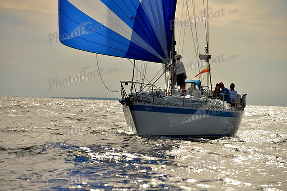 2017 Vineyard Race A_2281