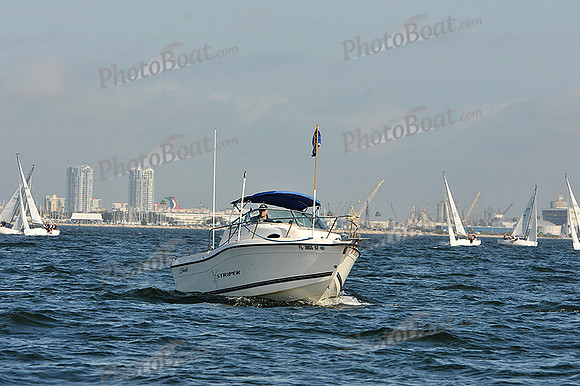2014 J70 Winter Series A 181