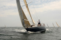 Swan American Friday 436