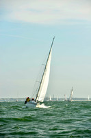 White Swan