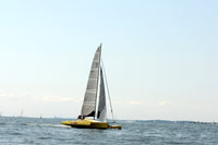 2011 Vineyard Race A 713
