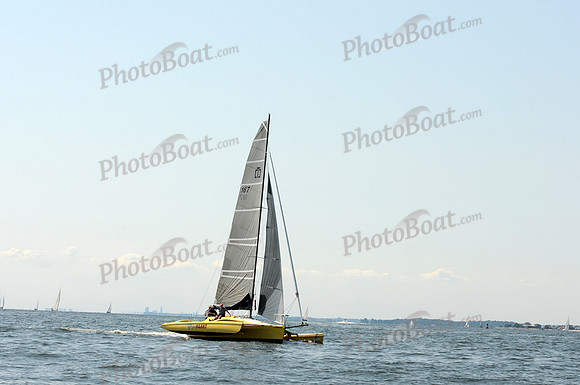 2011 Vineyard Race A 713