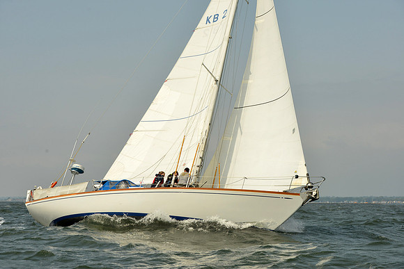 2015 Vineyard Race A 307