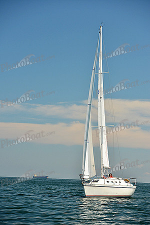 2015 Cape Charles Cup C 362