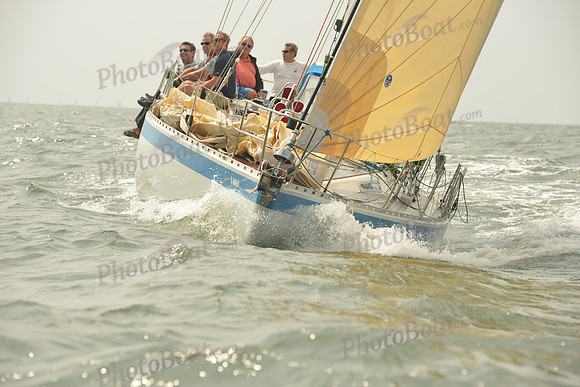2015 Vineyard Race A 1483