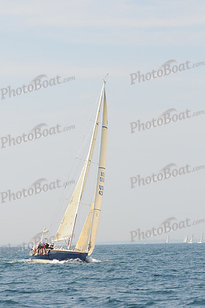 2010_Newport_Bermuda 1436