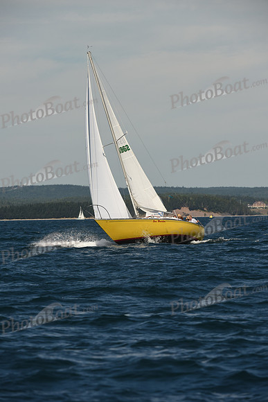 2016 Chester Race Week A_0567