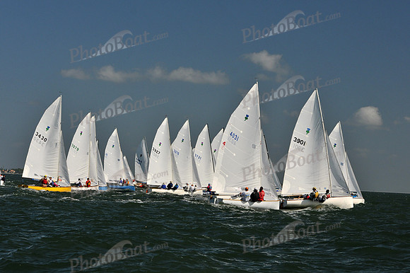 2012 Thistle Midwinters C 008