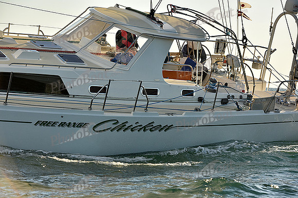 2016 Newport Bermuda Race_2155