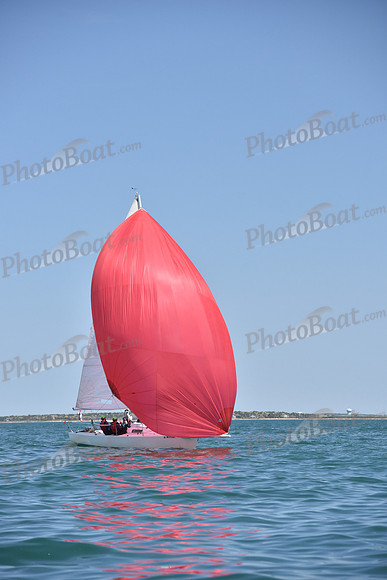 2019 Figawi_1323