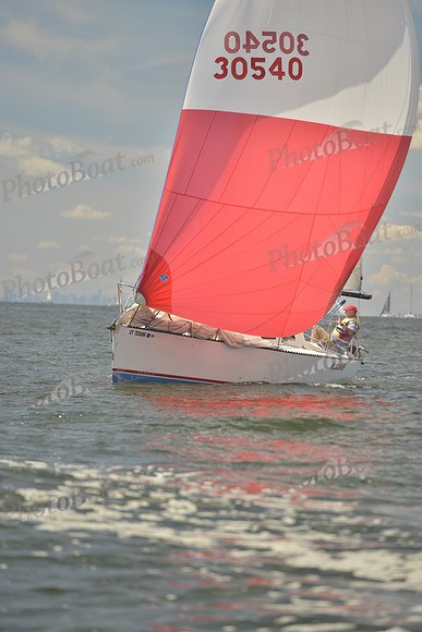 2016 Vineyard Race A_0362