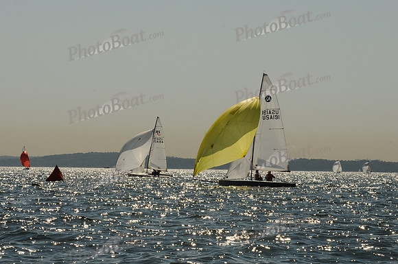 2011 HPDO A 2433