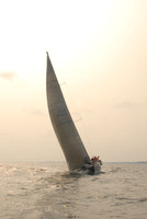 Vineyard Race 456
