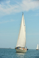 2015 Southern Bay Race Week F 808