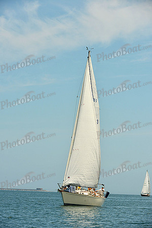 2015 Southern Bay Race Week F 808