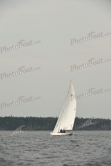2016 Chester Race Week D_0063