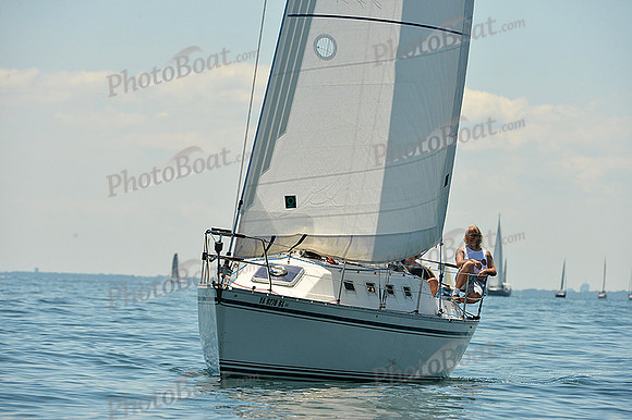 2015 Cape Charles Cup A 239