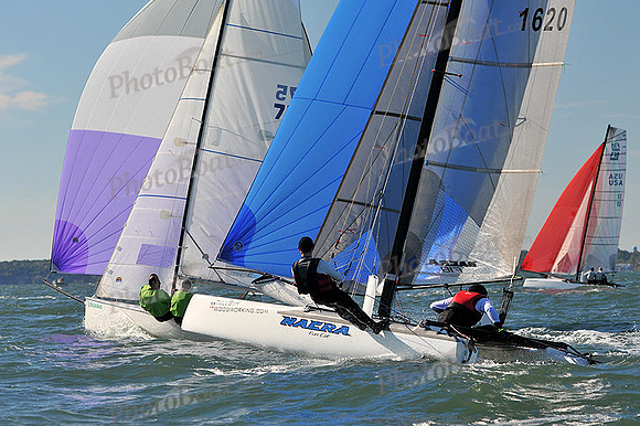 2014 HPDO C 176