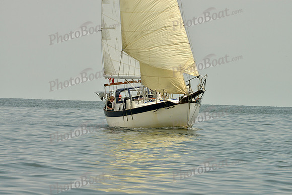 2016 Southern Bay Race Week E_0458