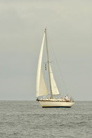 2016 Southern Bay Race Week E_0431