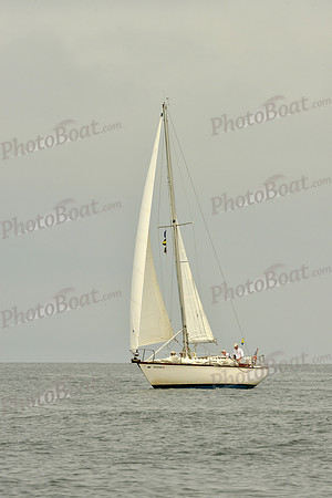 2016 Southern Bay Race Week E_0431