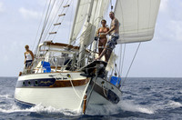Crystal Clear 5