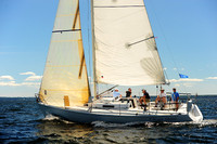 2014 Vineyard Race A 570