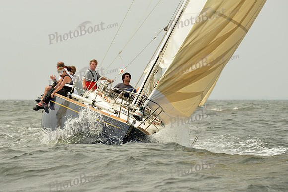 2015 Vineyard Race A 226