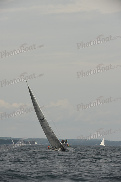 2016 Chester Race Week C_1215