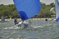 2017 Charleston Race Week A_1501