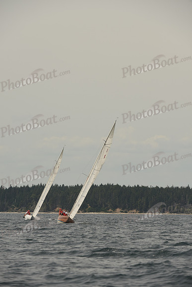2016 Chester Race Week C_1053