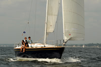 2013 Vineyard Race A 509