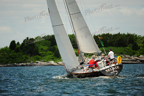 2014 NYYC Annual Regatta C 458