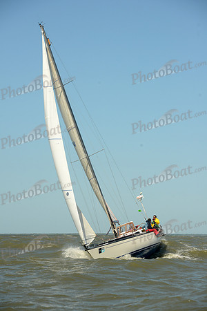 2016 Charleston Race Week B 0290
